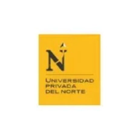 2024 de Logos Creados (1)